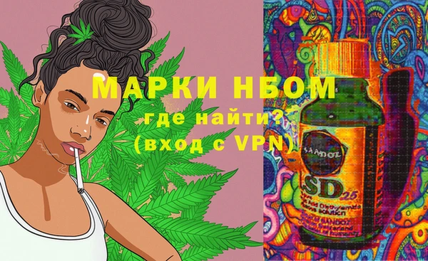 мдпв Лабытнанги